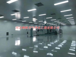 承接河北無菌凈化工程施工 保定制藥廠凈化廠房裝修
